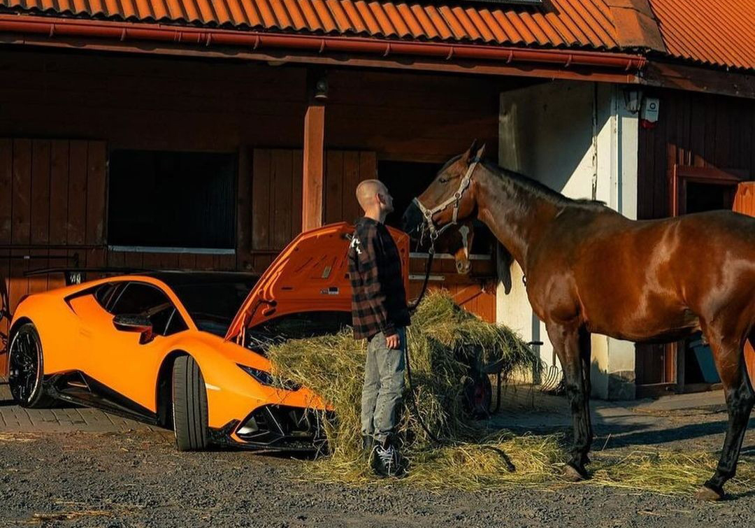 Разъяренный бык приручил гарцующую лошадь: Lamborghini Huracan завалили сеном