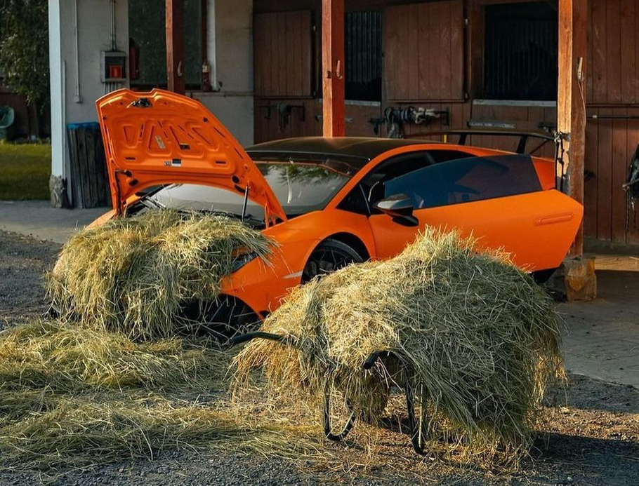 Разъяренный бык приручил гарцующую лошадь Lamborghini Huracan завалили сеном